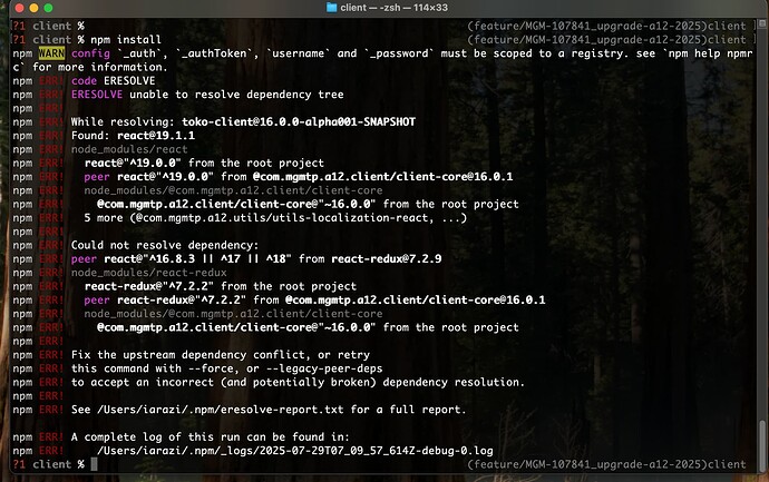 Screenshot 2025-07-29 at 9.10.10 AM